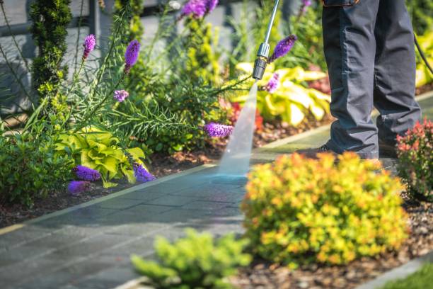 Best Parking Lot Cleaning in Spring Mount, PA